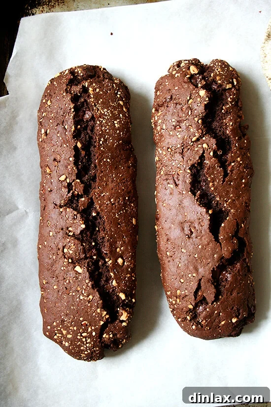Two uncut logs of chocolate biscotti dough, firm and golden after the first bake, ready for slicing.
