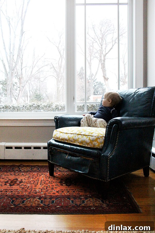 Explore Minted Fabric and Win a $150 Minted Gift Card 5 Beloved pet enjoying the comfort of the refurbished chair