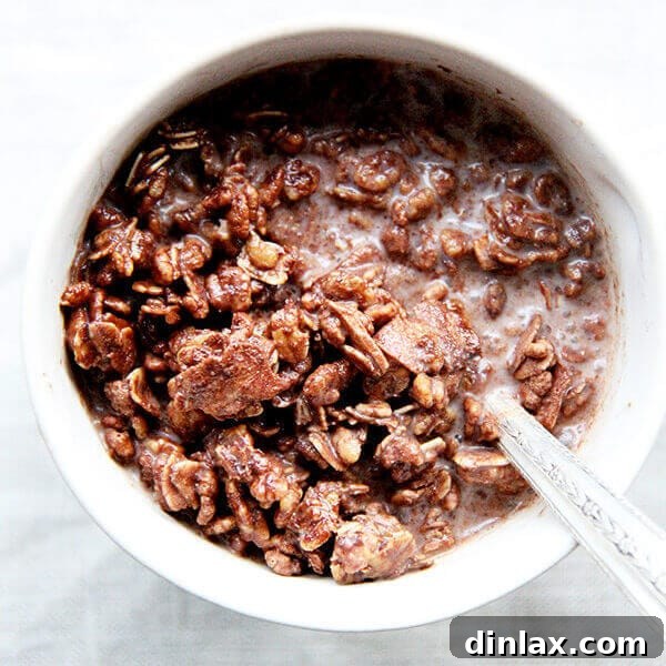 A bowl of freshly made homemade cocoa crunch, perfect for breakfast or snacking.