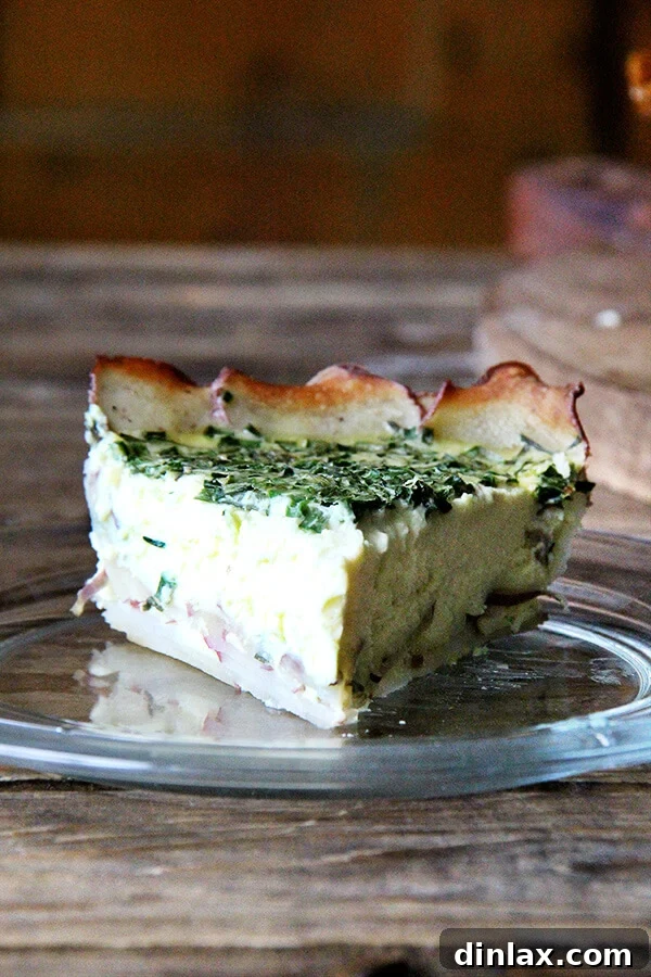 A perfectly baked slice of potato-crusted quiche, showcasing its golden crust and creamy herb-infused filling.