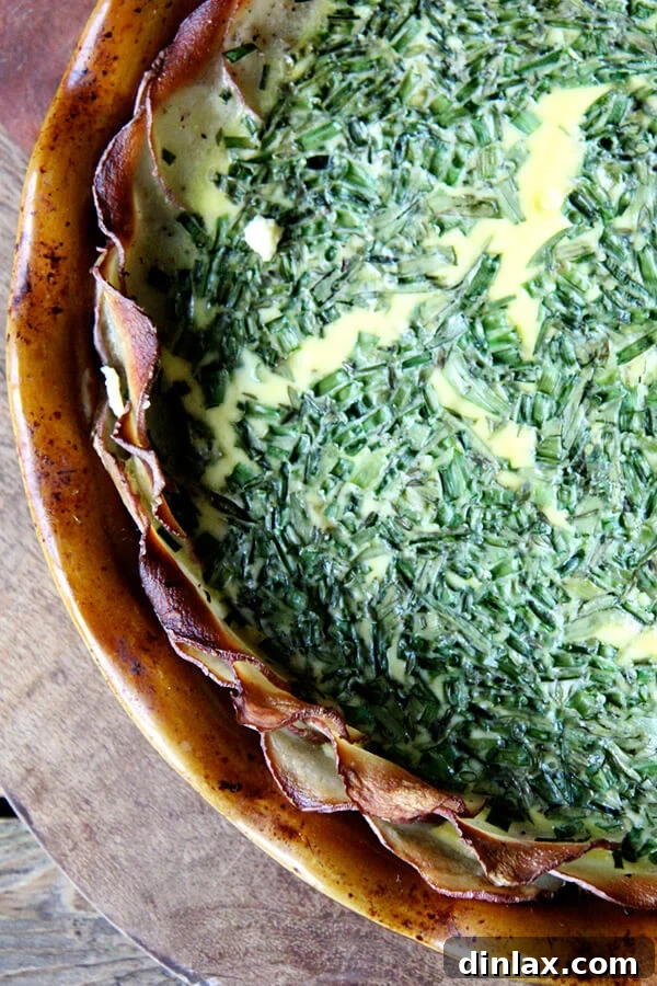 A close-up of a rustic, potato-crusted quiche with a golden, crispy edge, highlighting its visual appeal and delicious texture.
