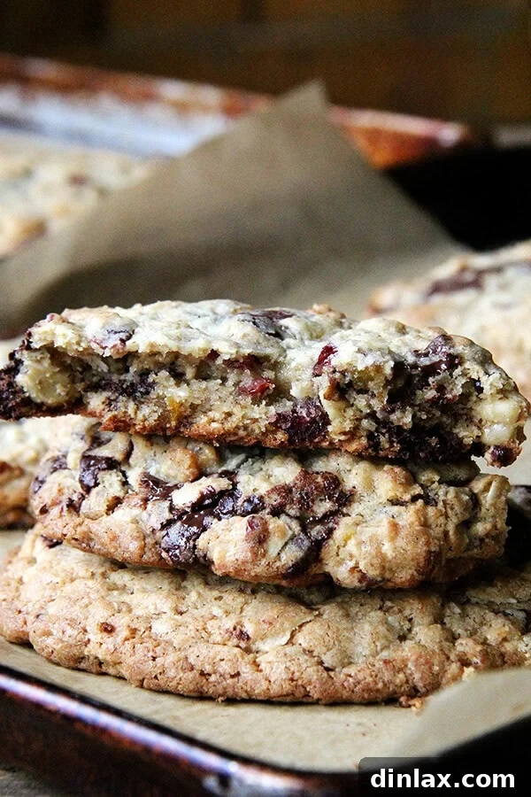 Indulge in Martha Stewart's Giant Kitchen Sink Cookies, packed with a delightful mix of nuts, dried fruit, chocolate chips, and oats – perfect for sharing or a hearty snack on a summer camping trip. // alexandracooks.com