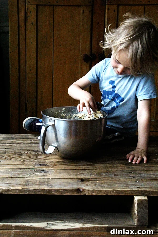 The golden brown goodness of Graham cracker crumbs, a delightful potential addition to the 'kitchen sink' assortment of any cookie recipe, adding a subtle honey sweetness and crunch.
