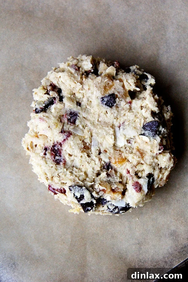 A detailed shot of the rich Martha Stewart's Giant Kitchen Sink cookie dough, highlighting the intricate blend of add-ins like dried fruits, nuts, and chocolate chips, ready to be transformed into enormous, satisfying cookies.