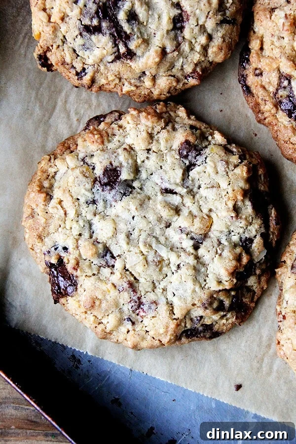 Freshly baked Martha Stewart's Giant Kitchen Sink Cookies cooling on a rack, displaying their impressive size and golden perfection. Each cookie is loaded with visible chunks of chocolate, nuts, and dried fruit.