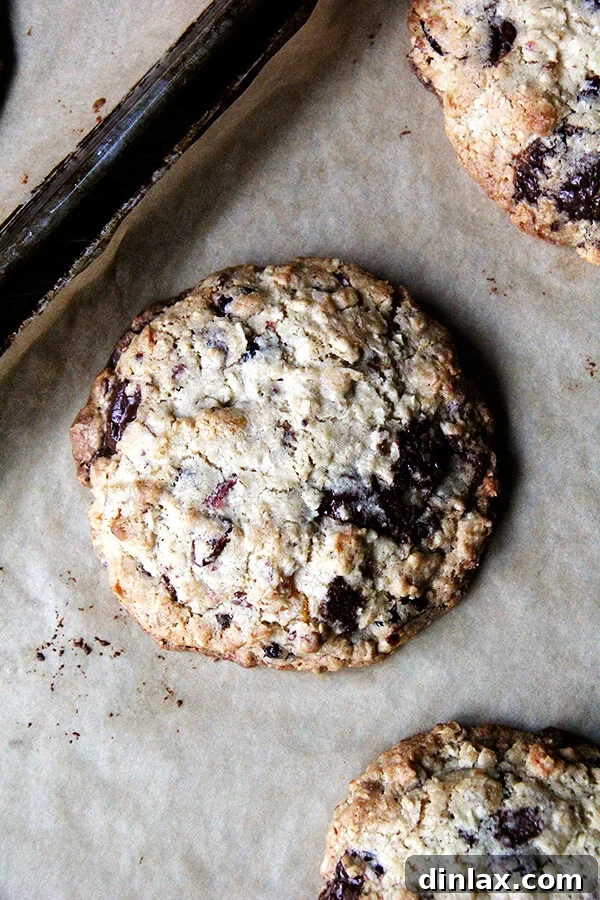 A beautifully presented Martha Stewart Giant Kitchen Sink Cookie, featuring a cross-section that reveals the dense, flavorful interior packed with diverse ingredients. These giant cookies are perfect for any occasion.