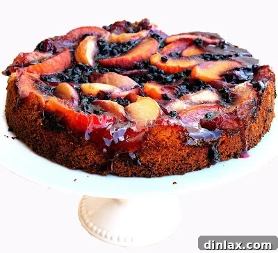 A beautifully baked peach blueberry cake, fresh from the oven, showcasing its rich fruit topping and golden crust.