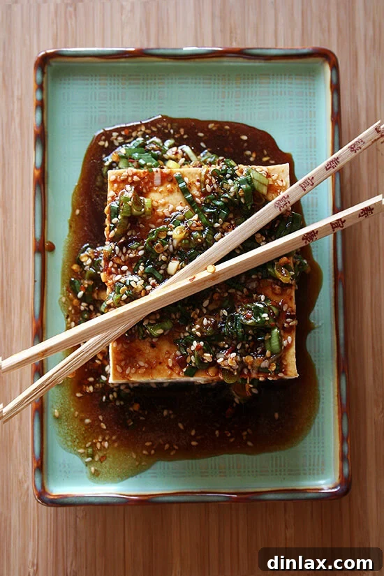 A beautifully arranged platter of warm silken tofu drizzled with a rich, spicy sesame-soy sauce and garnished with fresh green onions and herbs. An elegant and simple appetizer.