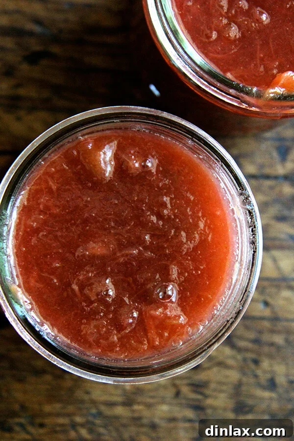 Homemade rhubarb compote elegantly stored in a glass jar, ready for chilling or serving.