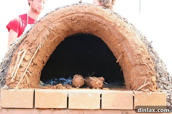 The exterior of a rustic adobe oven, blending seamlessly with natural surroundings, ready for its first fire.
