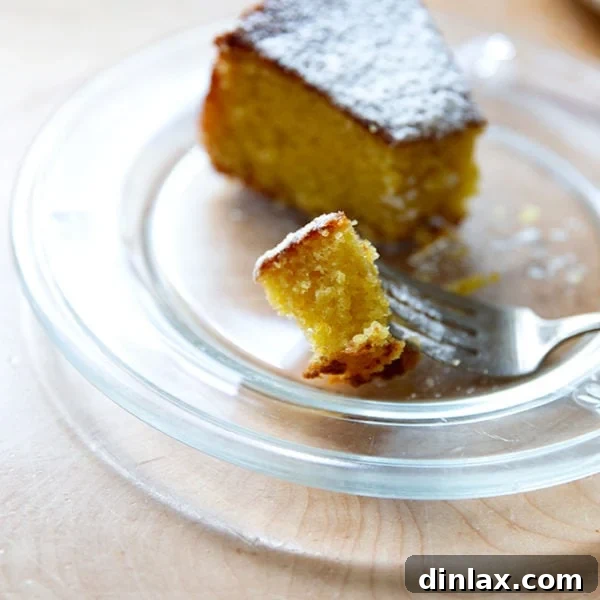 A slice of orange and olive oil cake.