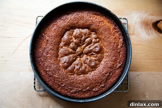 A freshly baked orange and olive oil cake cooling on a wire rack.