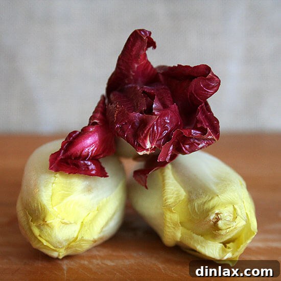 Crisp, fresh endive leaves, ready for a healthy and flavorful salad.