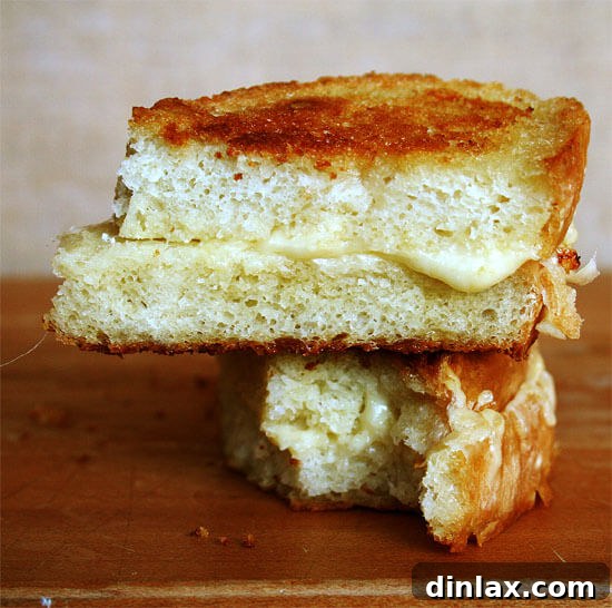 A perfectly golden-brown grilled cheese sandwich, made with generous butter and cooked slowly in a cast-iron skillet, showcasing its crispy exterior and promising a creamy interior. (Inspired by Saveur's recipe via alexandracooks.com)
