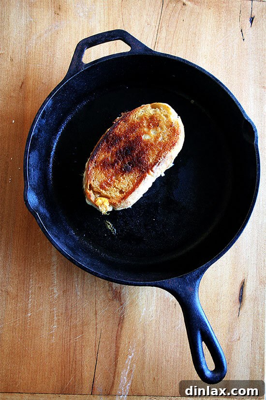 A close-up of a perfectly cooked grilled cheese sandwich, revealing its golden, crispy exterior and hinting at the rich, melted cheese inside, ready to be enjoyed. (Image inspired by Saveur's recipe via alexandracooks.com)