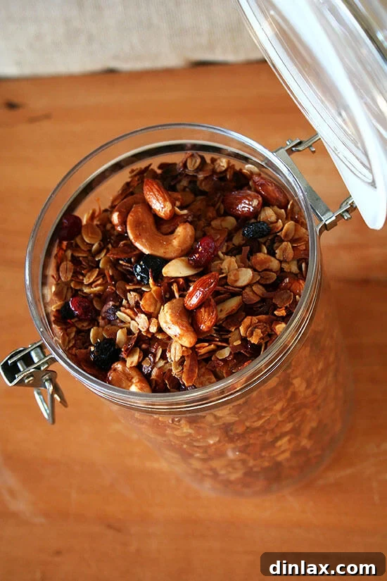 Golden homemade granola with dried cranberries and blueberries, a perfect healthy breakfast