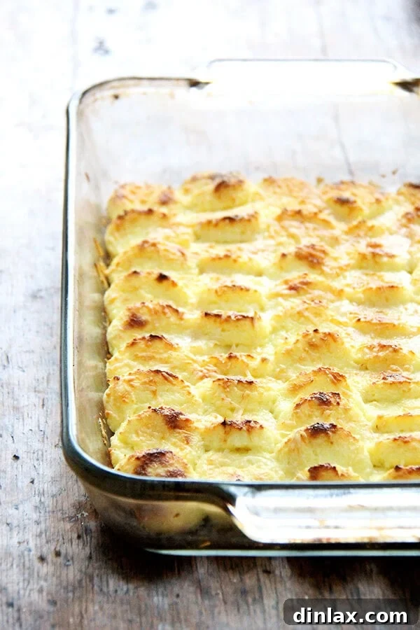 Gnocchi alla Romana: Baked Semolina Gnocchi – Made with milk, semolina flour, parmesan and egg yolks, this baked semolina gnocchi bears little resemblance to potato gnocchi. They taste more like polenta in fact, but are lighter in texture. In addition to being incredibly delicious, the beauty of gnocchi alla Romana is that it can be completely assembled ahead of time — up to two days — and baked just before serving. // alexandracooks.com Delicious baked semolina gnocchi, golden and lightly browned, ready to be served. Made with milk, semolina flour, parmesan, and egg yolks, these Gnocchi alla Romana offer a lighter, polenta-like texture. They are perfect for preparing ahead of time and baking just before serving.