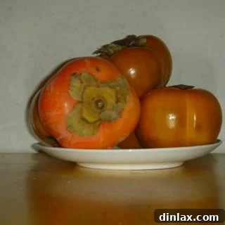 Delicious and vibrant persimmon panini ready to be enjoyed, showcasing the fresh ingredients and golden-brown bread.