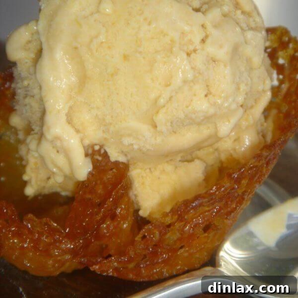 A top-down view of a scoop of pumpkin ice cream, rich and inviting.