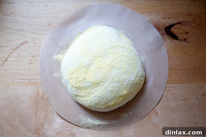 A round of Jim Lahey's no-knead dough, perfectly proofed and dusted with cornmeal, positioned on a circle of parchment paper, ready to be transferred to the hot Dutch oven.