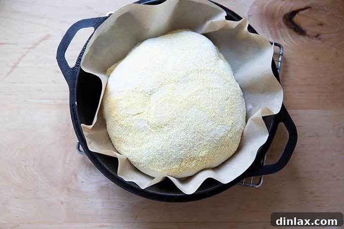 Jim Lahey's no-knead dough, resting on parchment paper, carefully lowered into a hot cast iron skillet, ready for covered baking.