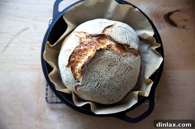 A freshly baked loaf of Jim Lahey's no-knead bread, golden-brown and crusty, resting in a cast iron skillet on a cooling rack.