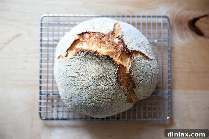 A freshly baked, golden-brown loaf of Jim Lahey's no-knead bread cooling on a wire rack, steam gently escaping.