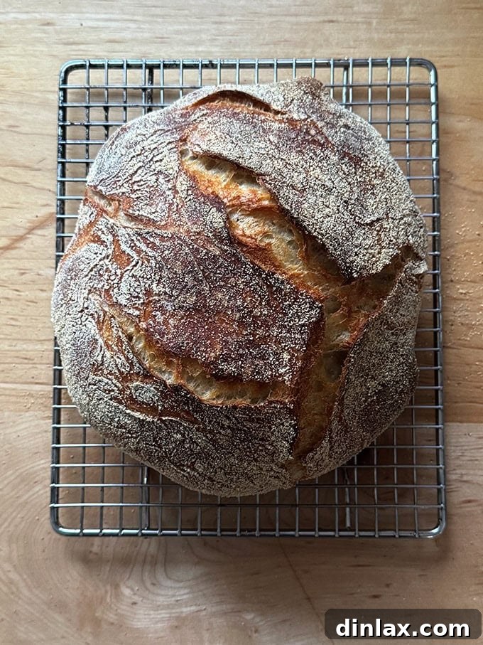 A large, rustic loaf of Jim Lahey's no-knead bread on a cooling rack, showcasing its artisan appearance and crust.