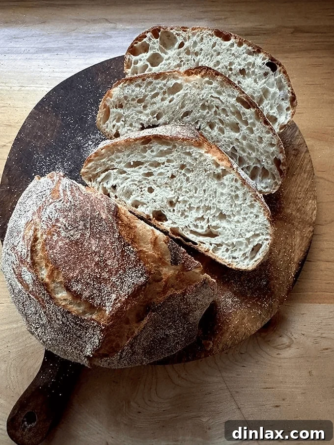 A beautifully baked, round loaf of no-knead bread with a perfectly browned and textured crust, cooling on a rack.