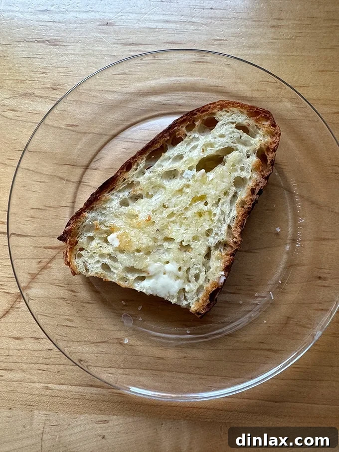 A thick slice of Jim Lahey's no-knead bread, perfectly toasted to a golden crisp, ready to be enjoyed.