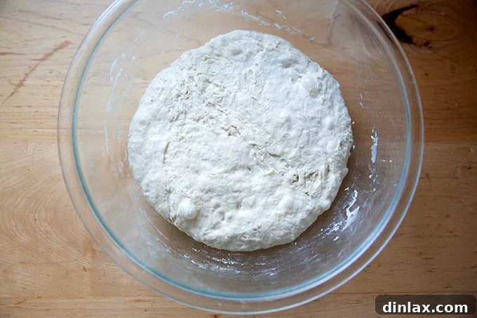 Jim Lahey's no-knead bread dough after an 18-hour room temperature rise, showing its bubbly, fermented texture.