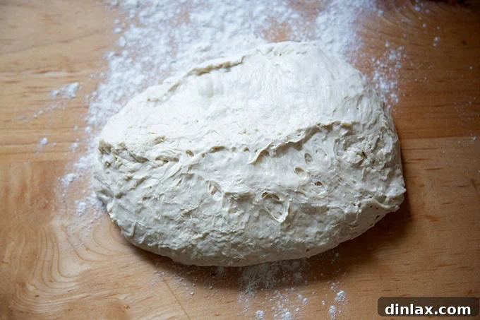 Jim Lahey's no-knead bread dough, well-risen after 18 hours, carefully turned out onto a floured work surface.