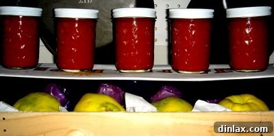 Golden Quince Preserve 3 Rows of Beautifully Canned Quince Jam Jars