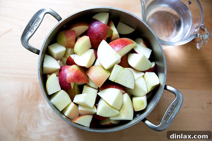 Warm Spiced Applesauce 5 A large pot filled with chopped apples, with a measuring cup of water next to it, ready to be combined and cooked.