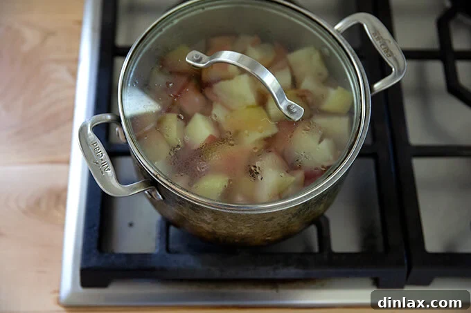 Warm Spiced Applesauce 6 A pot of cooked apples, soft and tender, simmering gently on the stovetop.
