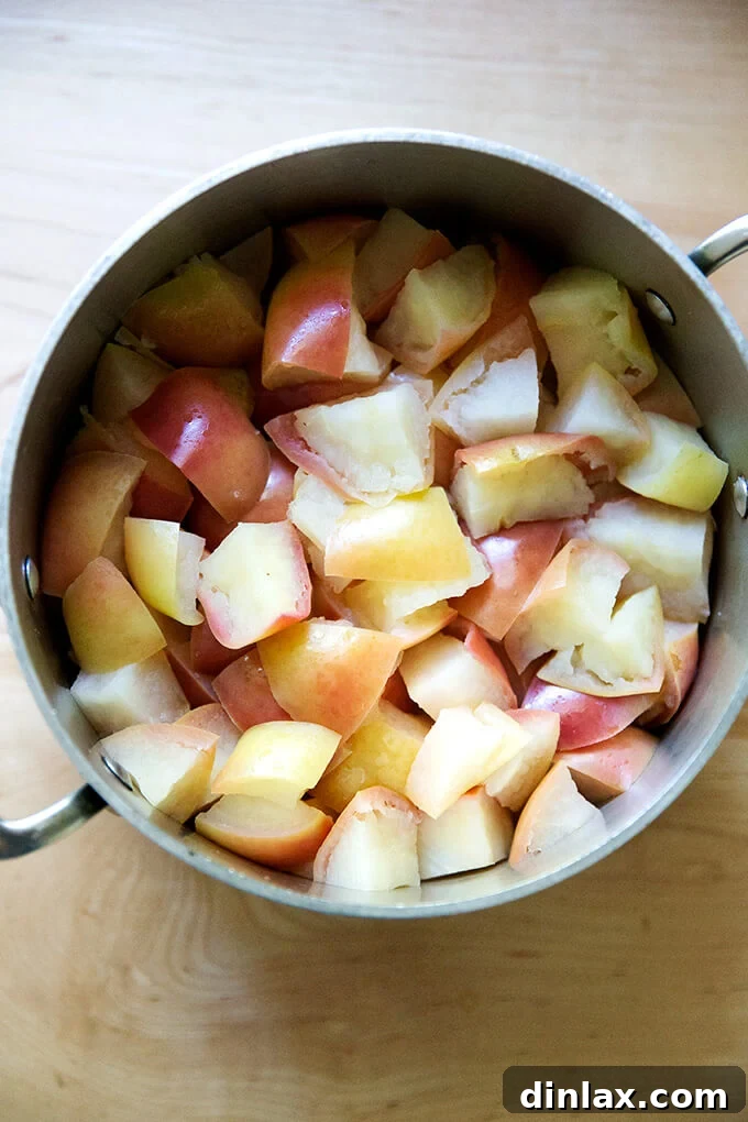 Warm Spiced Applesauce 7 A close-up view of cooked apples in a pot, now softened and ready for the next step in making applesauce.