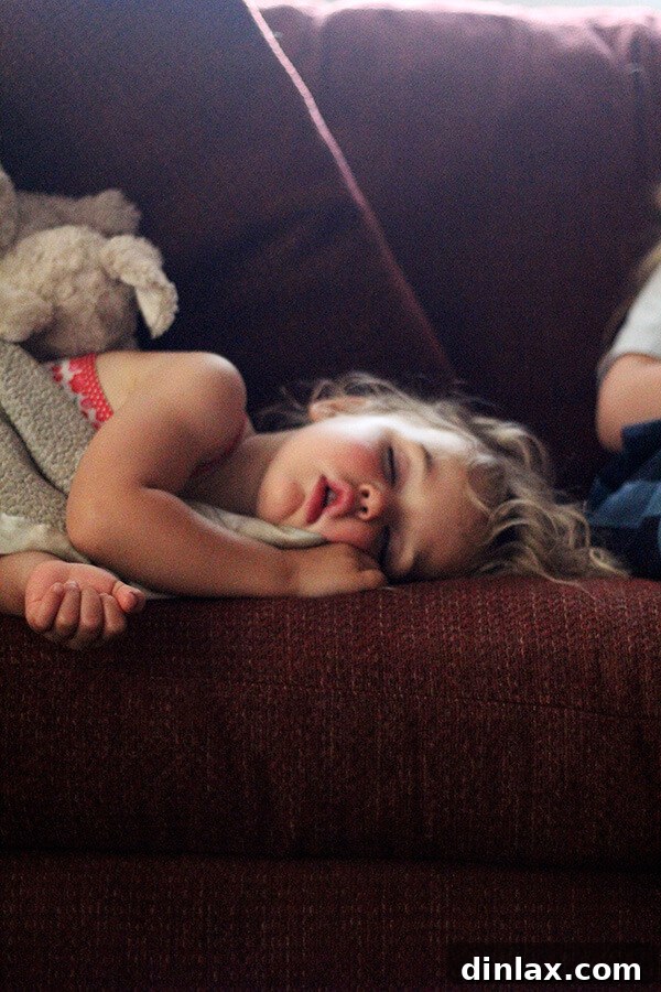 The Queen of American Lakes 9 Wren peacefully sleeping, undoubtedly dreaming of more Lake George adventures and fun-filled days.