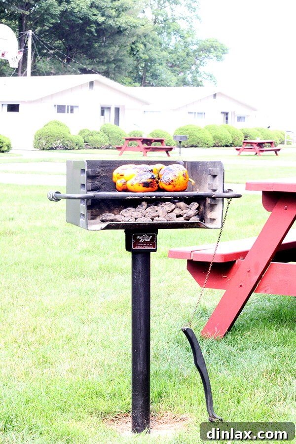 The Queen of American Lakes 10 Vibrant bell peppers charring beautifully on the grill, preparing for a delicious and smoky family meal.