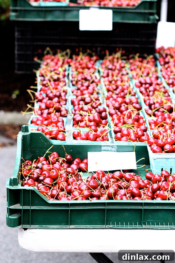 The Queen of American Lakes 13 Fresh, vibrant cherries displayed beautifully in a basket at the bustling Bolton Landing Farmer's Market, a tempting treat.