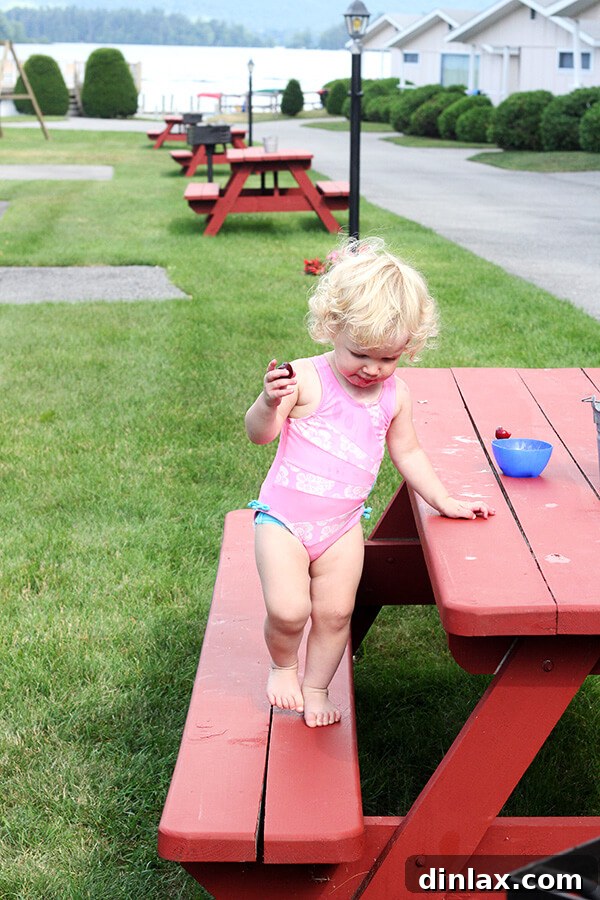 The Queen of American Lakes 14 Baby Tig happily eating a fresh cherry, experiencing a new and delicious taste sensation at the farmer's market.