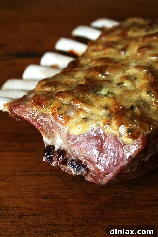 A freshly roasted rack of lamb, golden brown and glistening, just removed from the oven, ready for resting.
