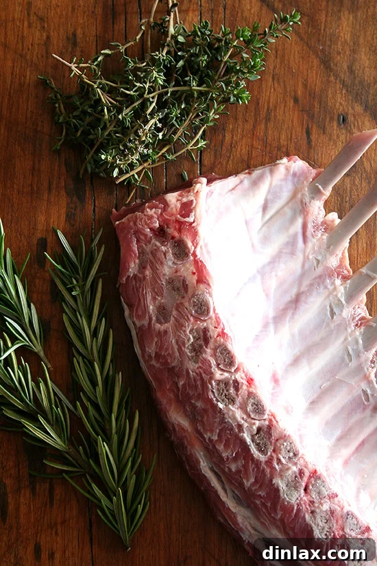 Fresh sprigs of rosemary and thyme, vibrant and aromatic, poised beside a raw rack of lamb, highlighting key ingredients.