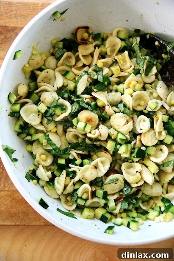 Toasted Orecchiette with Zucchini & Corn Pasta Toasted orecchiette pasta with zucchini and corn sizzling in a hot skillet, showcasing the rich texture, vibrant color, and enticing aroma of the dish.