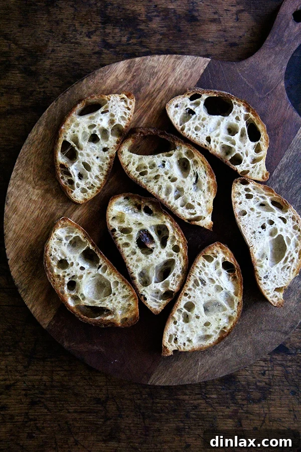 Close-up of broiled ciabatta