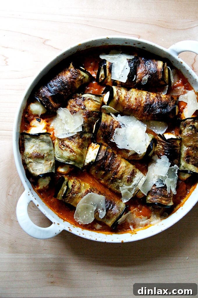 A pan of just-baked eggplant involtini, golden brown and bubbling with rich tomato sauce.