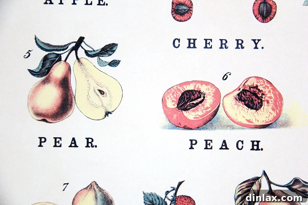 Detailed illustration of a pear from a Cavallini fruit print.