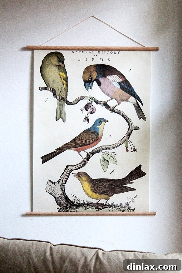 Cavallini Bird Poster, displaying an array of vintage bird illustrations.
