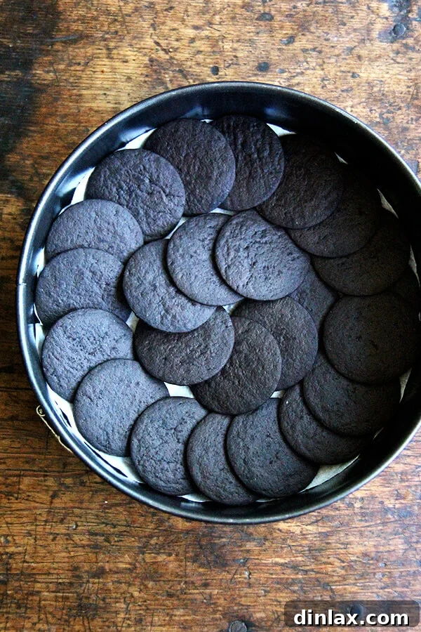 The crucial first layer of Famous Chocolate Wafers laid flat in an 8-inch springform pan, ready for the rich mocha cream in this easy icebox cake.