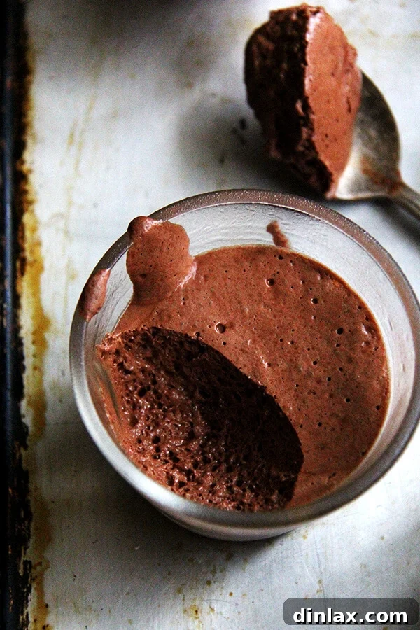 A close-up of a spoonful of vegan chocolate mousse, revealing its fluffy, airy texture and rich dark color.