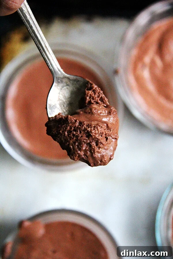 Another perspective of a spoonful of vegan chocolate mousse, emphasizing its decadent yet light appearance.